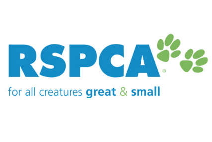 Pyrenees, Central Goldfields rank high in per capita animal cruelty reports, RSPCA data shows - feature photo