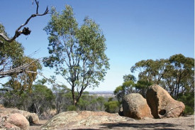 Rocks at Melville Caves