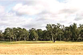 Race Track first site