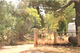 Roman Catholic Church gates