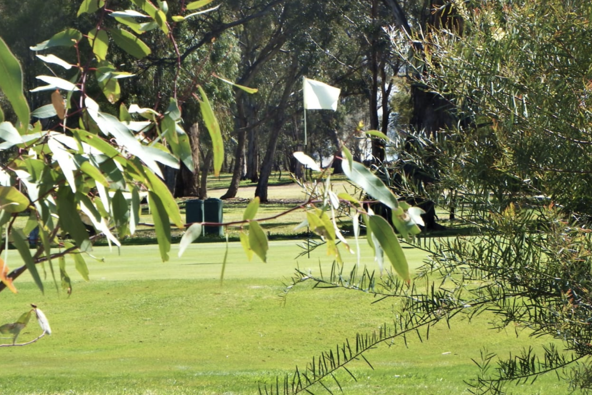 Maryborough's annual golf tournament called off - feature photo