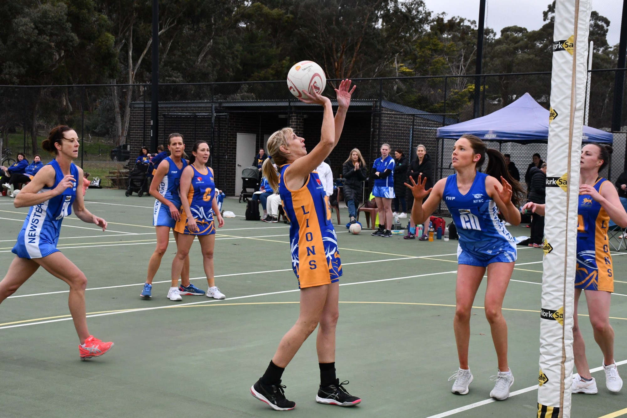 Decorated Harcourt netballer Suzie Rinaldi ticks off 500th game, club best and fairest - feature photo