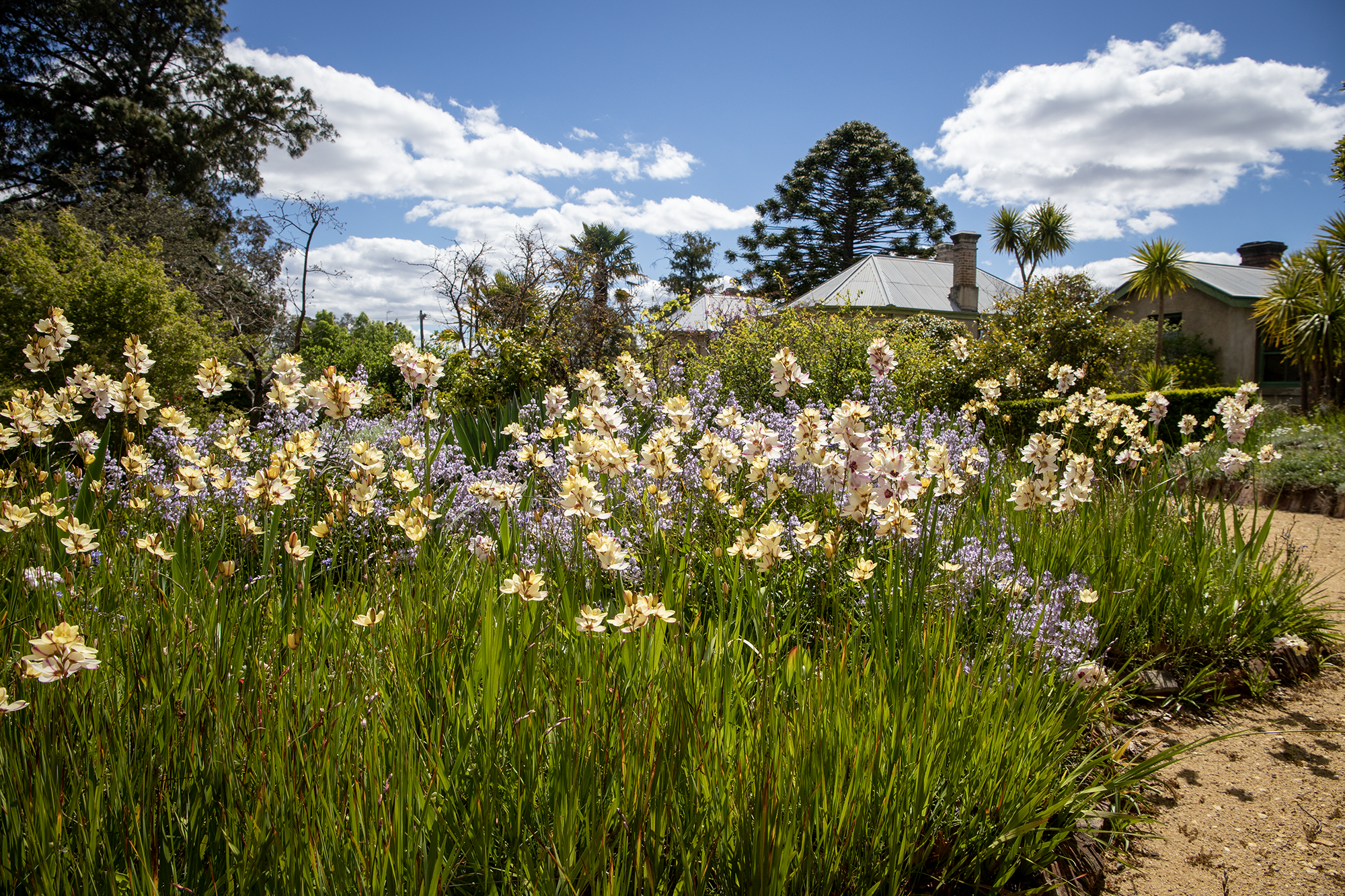 Explore a local treasure - feature photo