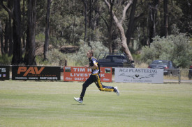 Joe Lovel was superb with the ball for Laane, taking 4/39 off eight overs.