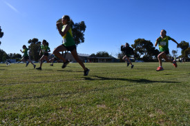 Runners set an electrifying pace in the 100 m race. 