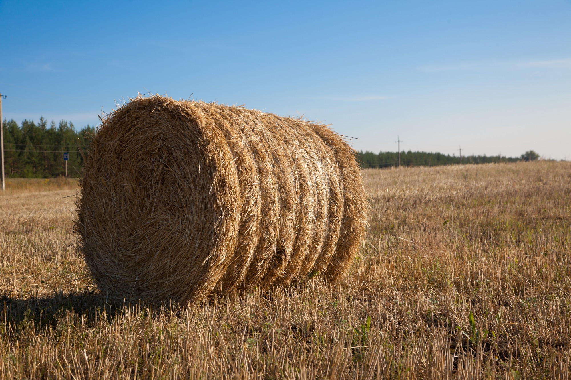 Hay exporter charged over Bridgewater death - feature photo