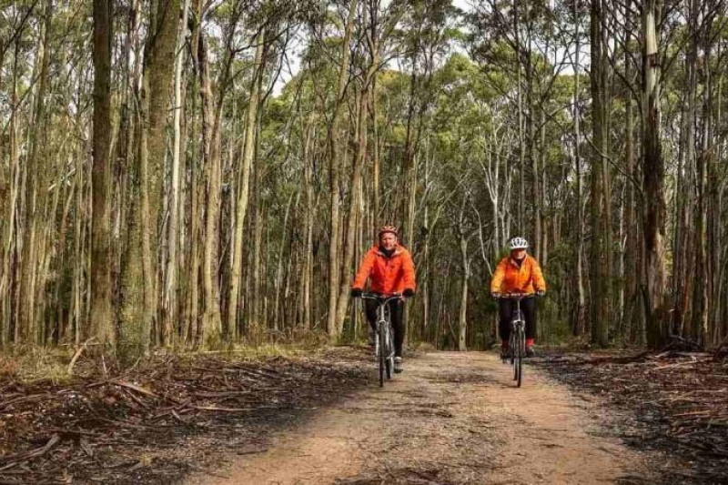 On your bike - feature photo