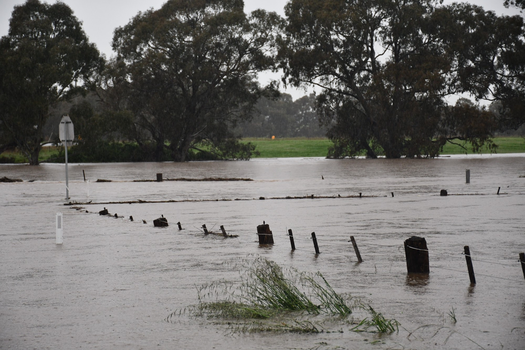 Rain was the theme of the year during 2022, with record rainfall causing local flooding.