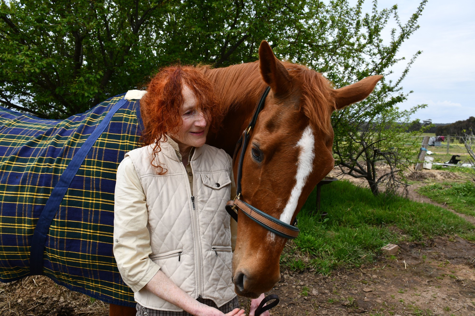 Flair is one lucky horse, with owner and Paralympian Rosalie Fahey describing how Maryborough SES members went above and beyond recently when they helped Flair during a distressing incident.