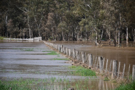 Water swept through paddocks alongside the Ballarat-Maryborough Road at Talbot.	