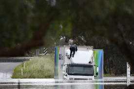 This truck driver makes an escape to the roof after being caught in flood waters at Timor.