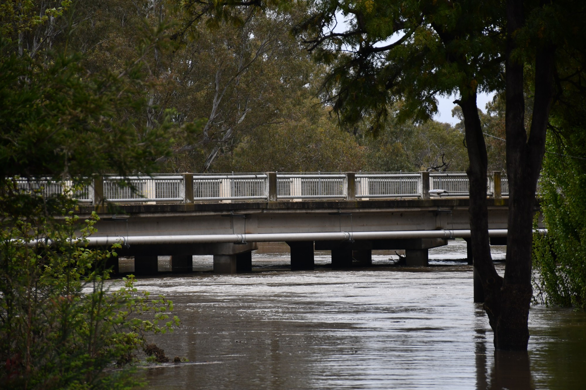 Flood recovery session to support local women - feature photo