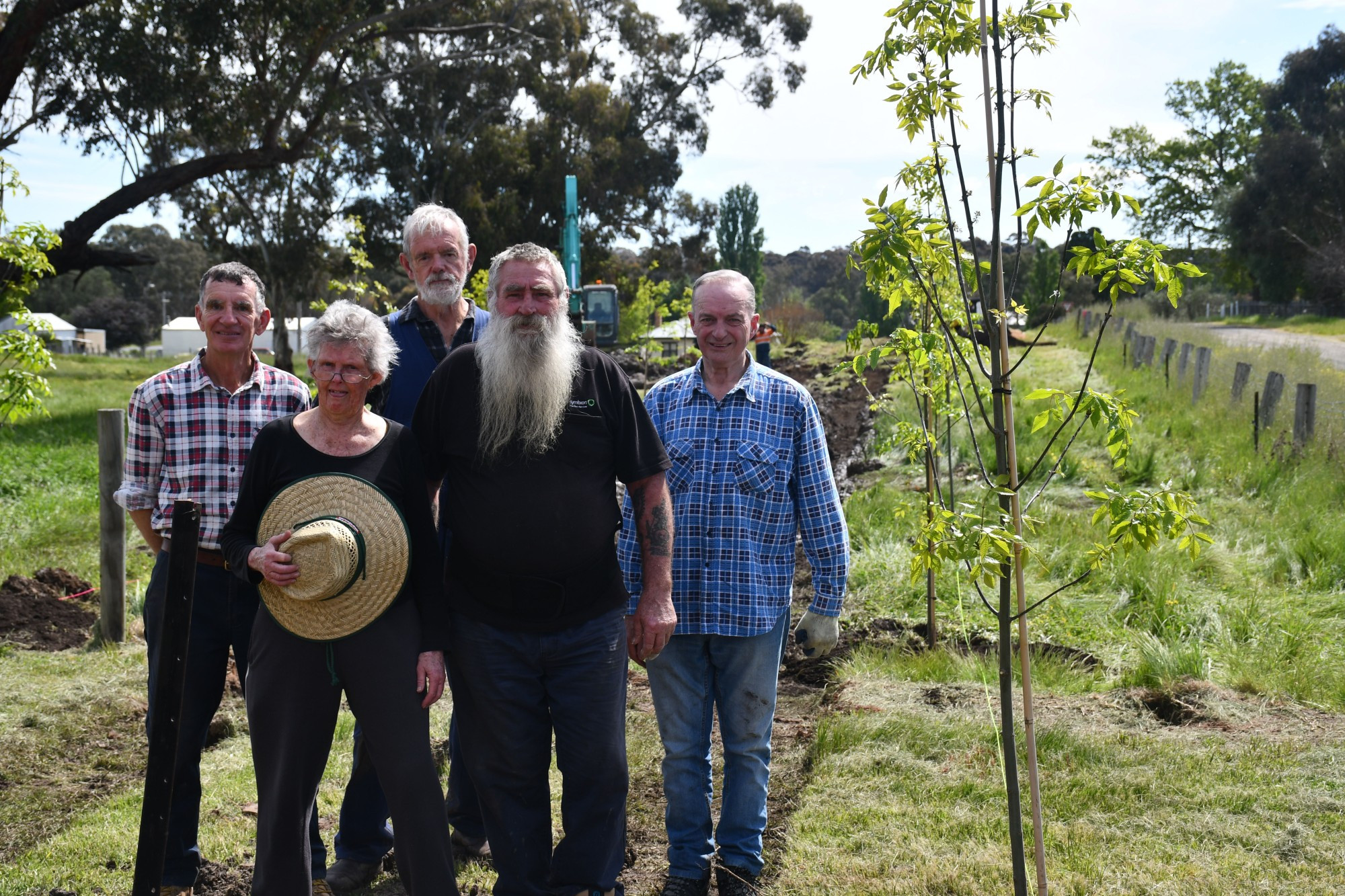 Community News: Avenue restoration - feature photo