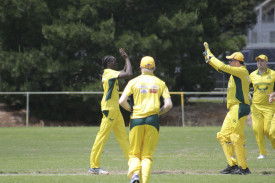 Maryborough’s Akon Mawien celebrates his first wicket for the team.