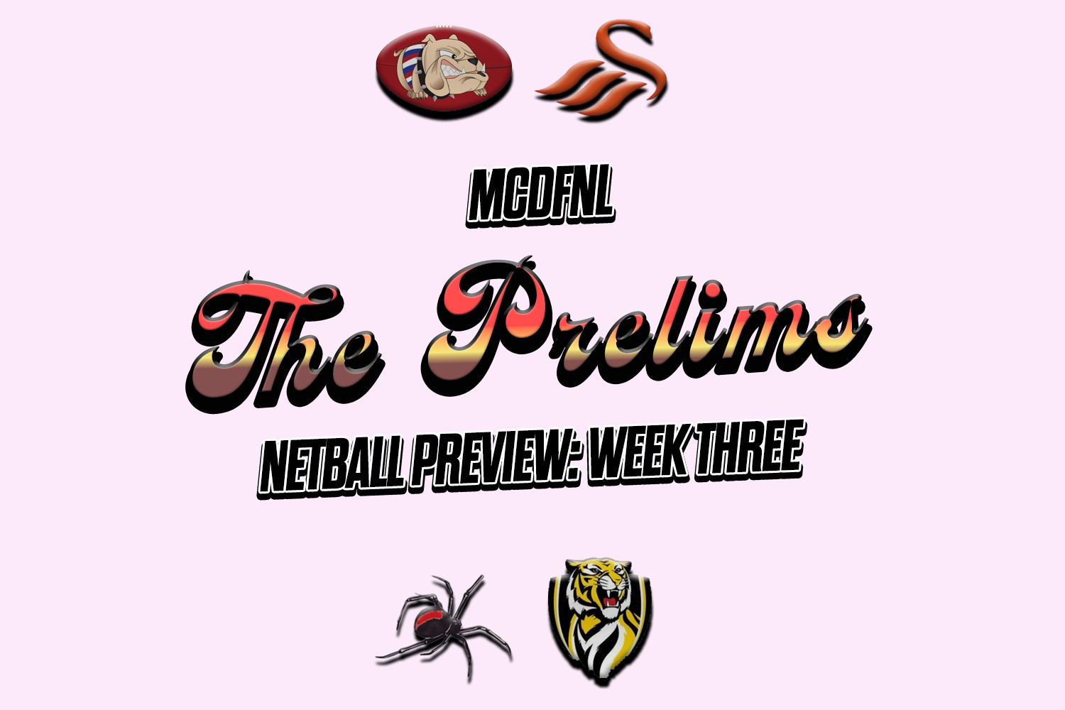Preliminary finals netball previews — MCDFNL - feature photo