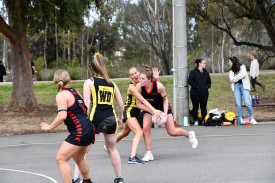 Lexton’s Julia Parkin pressures Carisbrook’s Amelia Jarvis as she looks to pass into the ring. 