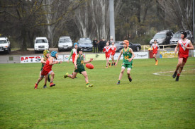 Natte Bealiba and Navarre went head-to-head in the Under 11.5s.	
