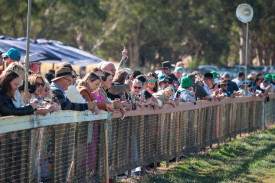 The autumn races were the first in a year after the October Avoca Cup was washed out.