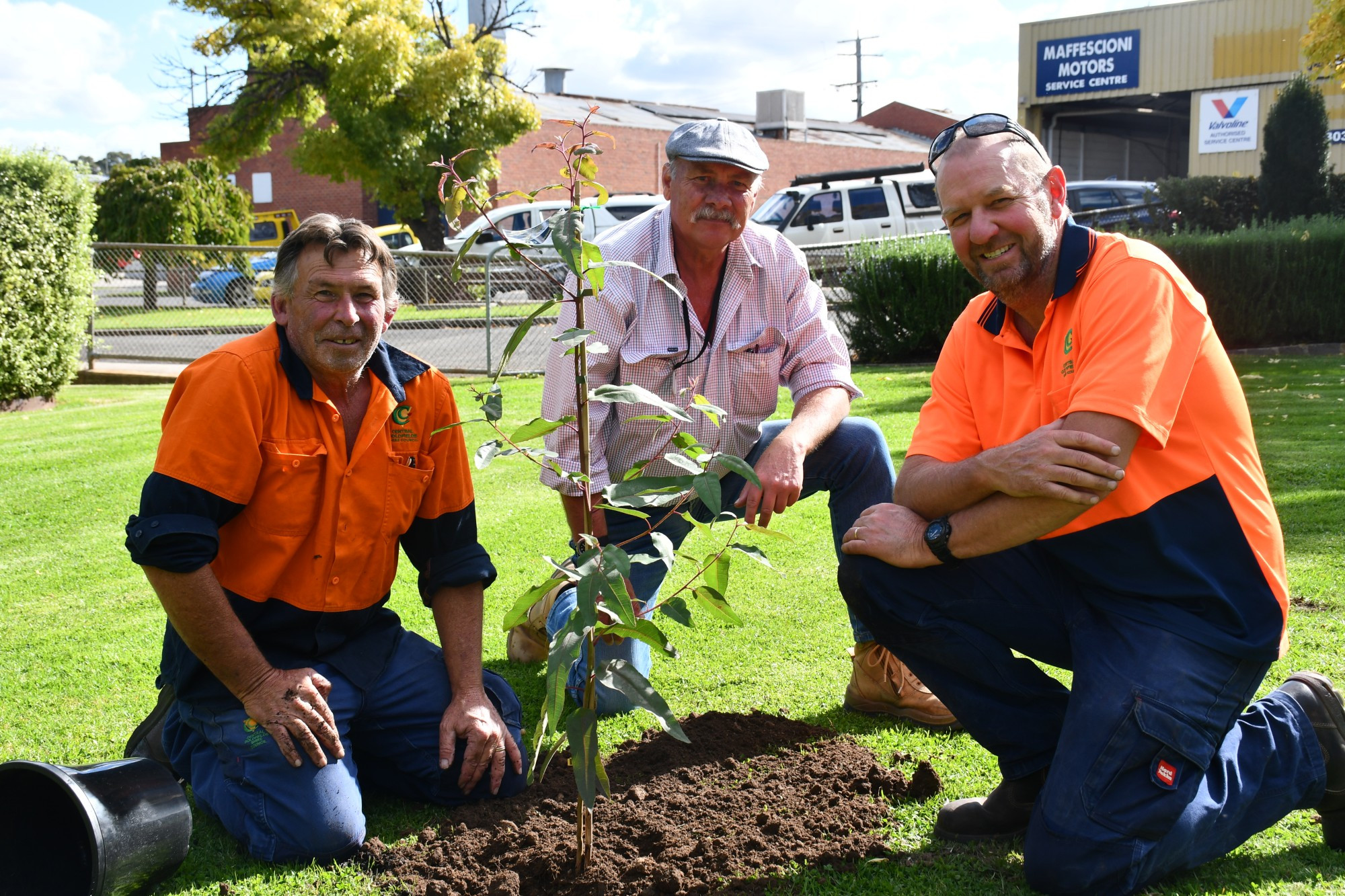 Russell Le Tisser, Brenton Hull and Wayne Pritchard planted Phillips Gardens’ newest tree earlier this week, recognising Russell’s 45 years with council. Photo number: 210423 04