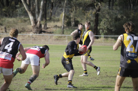 Royal Park’s Rhys Wagstaff looks to get the ball away from the Bushy backline in their 124-point loss to Trentham. Photo: 280423 22