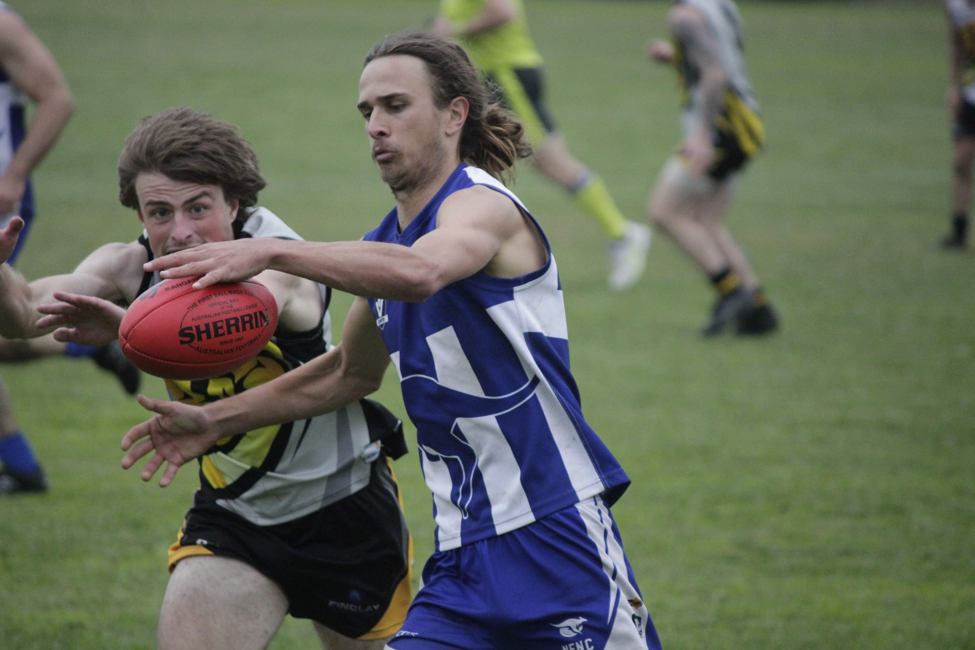 Newstead’s Aidan McConachy gets his kick away under fierce Lexton pressure in their eight-point loss. Photo: 280423 20