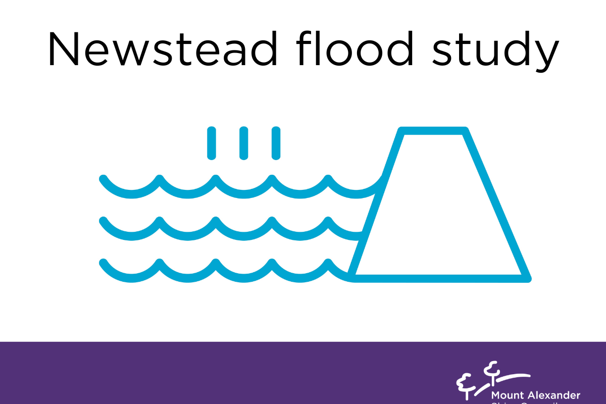 Future flood strategies to be investigated at Newstead - feature photo