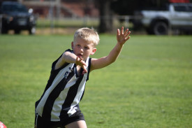 Hudson Wintle goes in for the smother in the under 14.5s. Photo: 220823 13