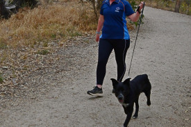 Goldfields Reservoir parkrun