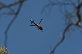 The fire at Maryborough’s motocross track was put out with the help of air support. Photo: 081223 20