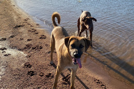 Whiskey and Deni at Cairn Curran