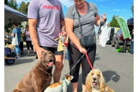 Dogs of all shapes and sizes love the Talbot Farmers Market