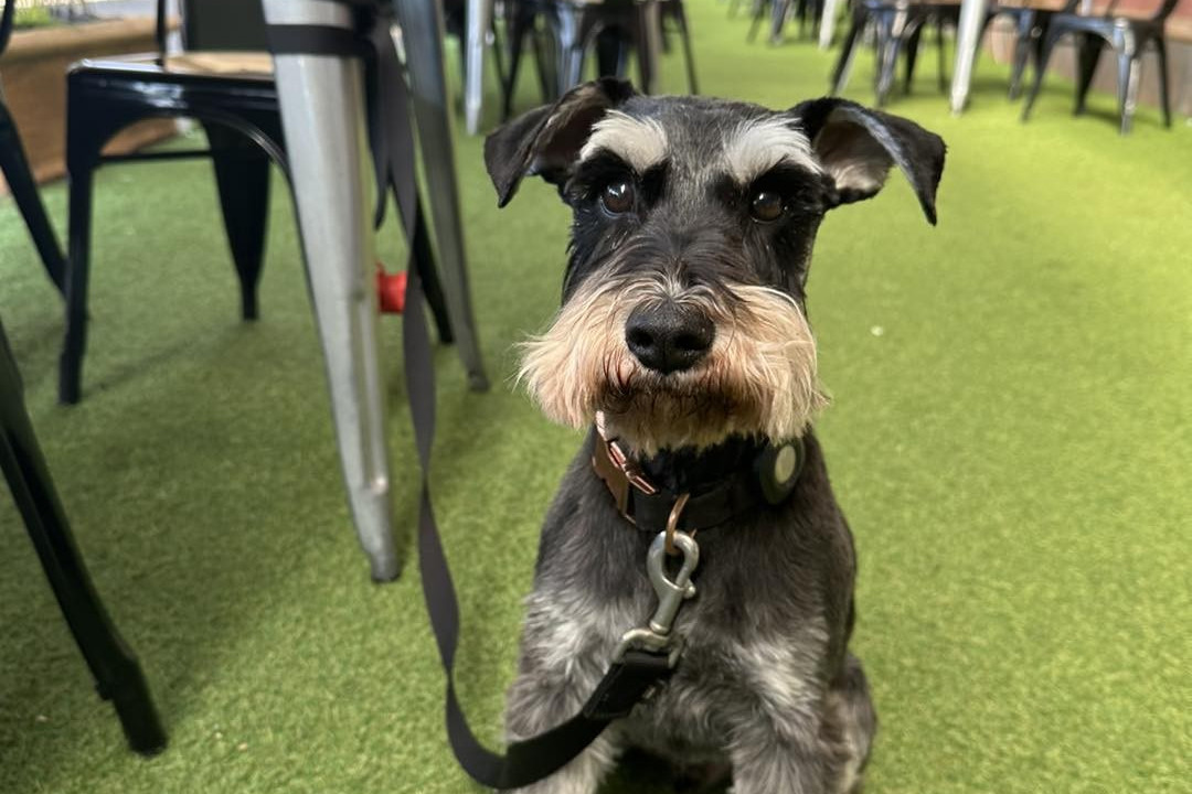 Max at the Station Cafe