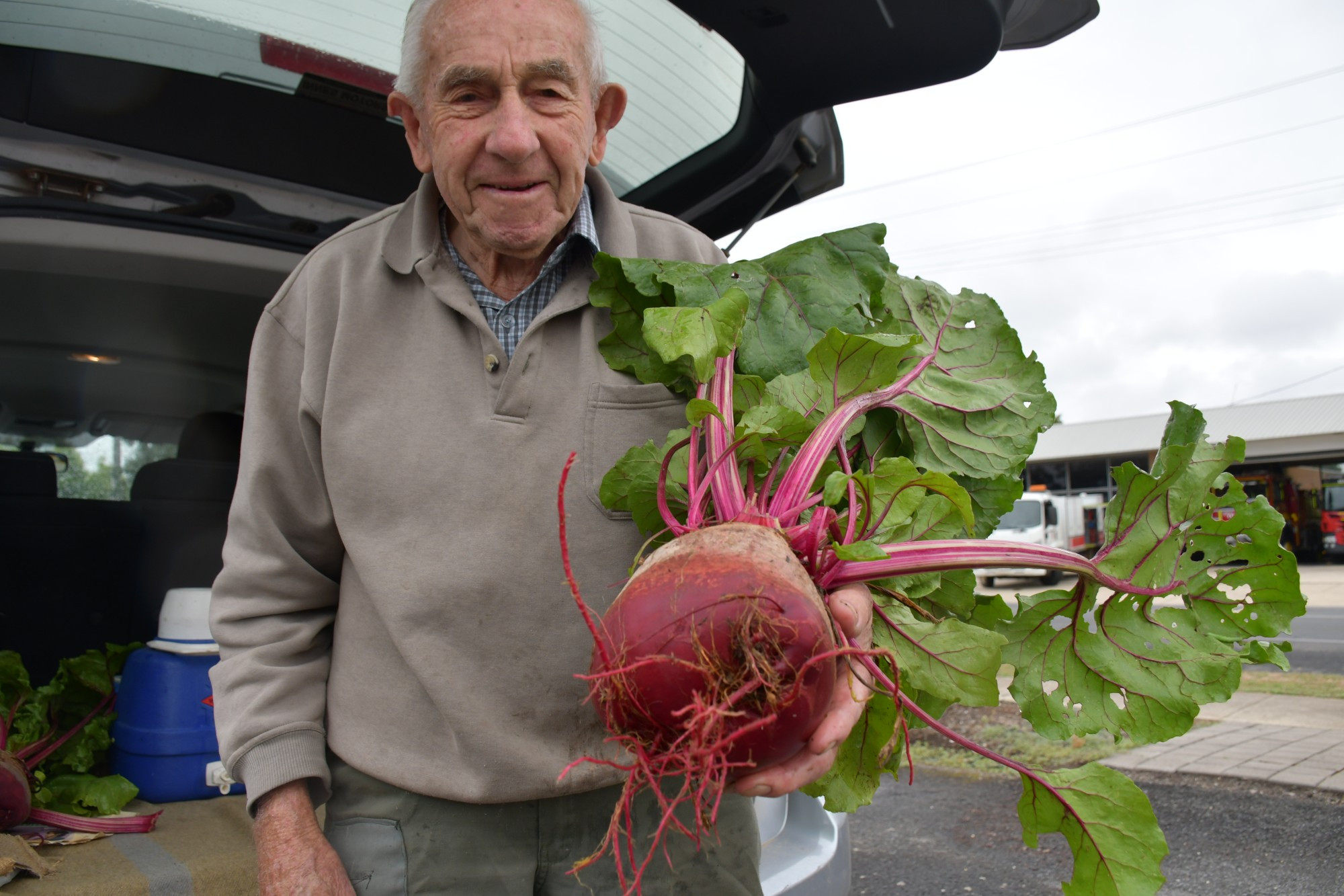 Community News: Big Beet - feature photo