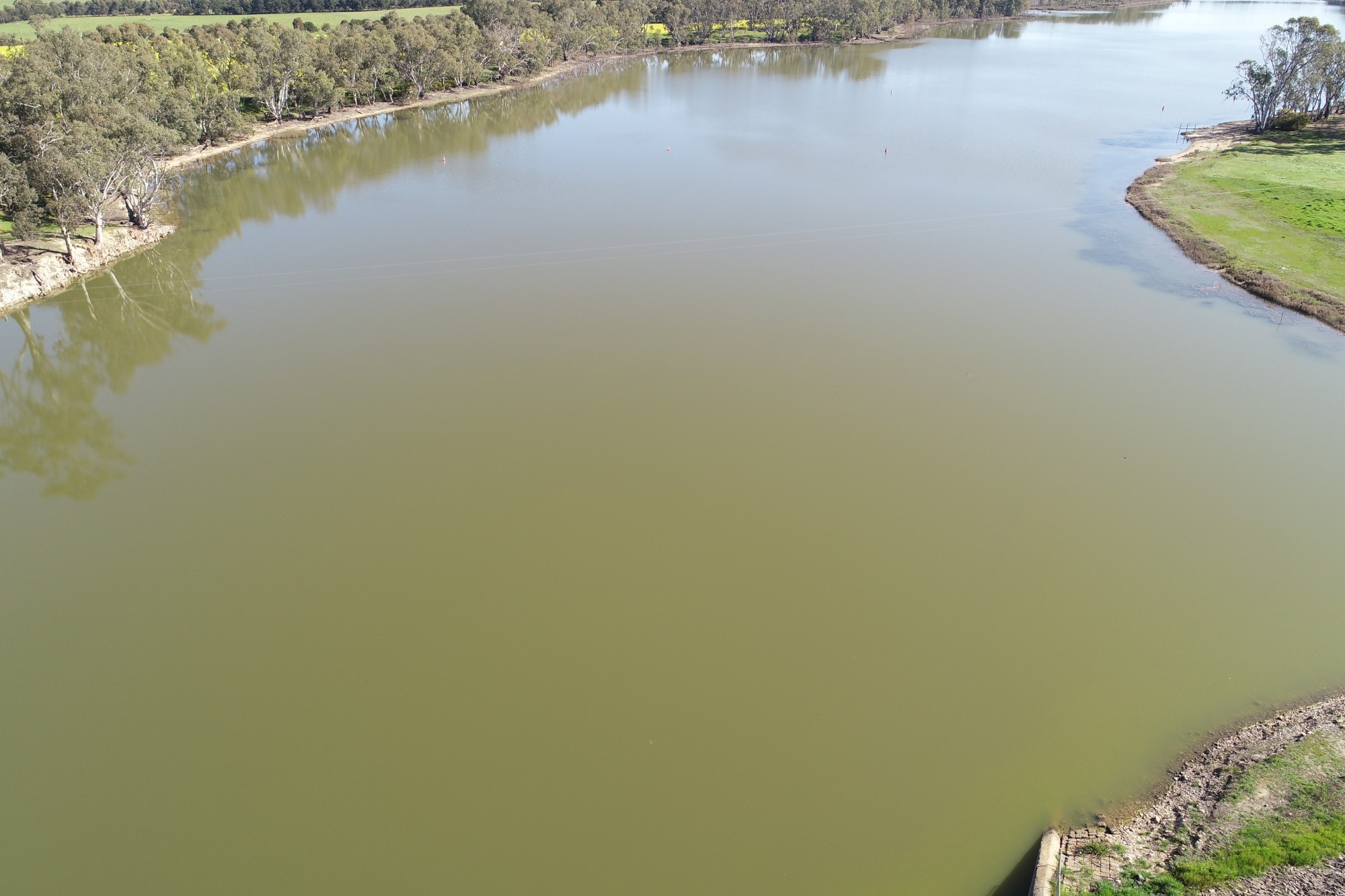 Toxic blue-green algae has been detected in a number of local reservoirs, including Laanecoorie.