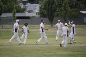 Bradley Reeves celebrates one of his six wickets for MKM in a dominant individual performance. Photo: 030223 05