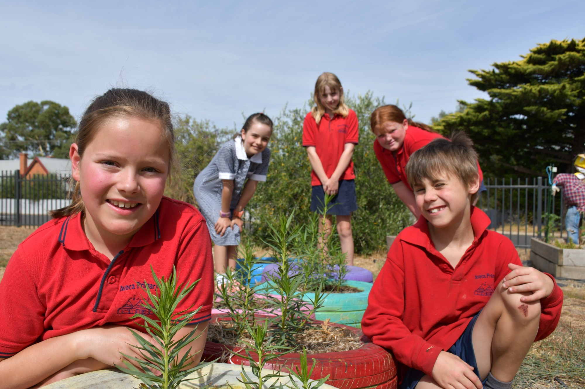 Budding gardeners — Avoca Primary School’s Charlotte, Winter, Laura, Zoe and Cage — have been exercising their green fingers alongside other students to build a garden from scratch. Photo: 210223 02