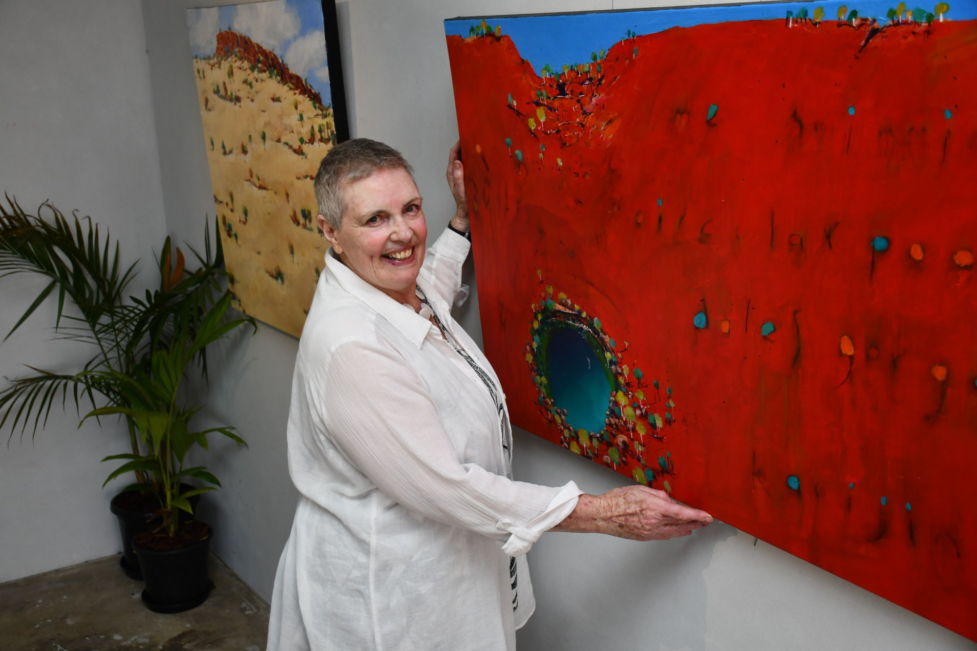 Artist Val Wilkinson’s new exhibition at Dunolly gives viewers a glimpse of Australia’s famous parks. Photo: 280223 01