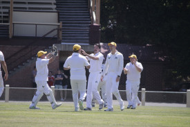 Maryborough celebrates the important wicket of Samit Gohil for 49.	