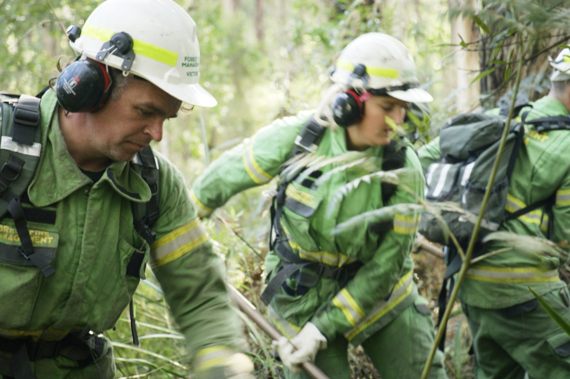 Applications for project firefighter roles with FFMVic are now open across north central Victoria, including Avoca.