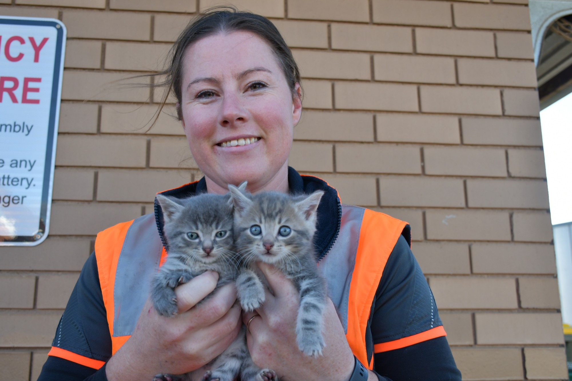 Central Goldfields Shire compliance officer Khiara Jenkins is encouraging anyone interested in becoming a cat foster carer to get in touch to help out kittens like these two and their four siblings.