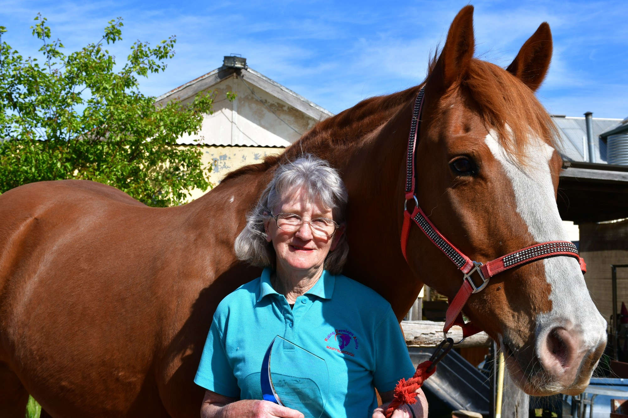 Maryborough Riding Develops Abilities’ vice president Aileen Marshall has nabbed a lifetime achievement award. Photo: 171023 21