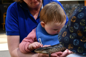 Sandra Bilston and Leilani played with Betty the lizard. Photo: 150923 14