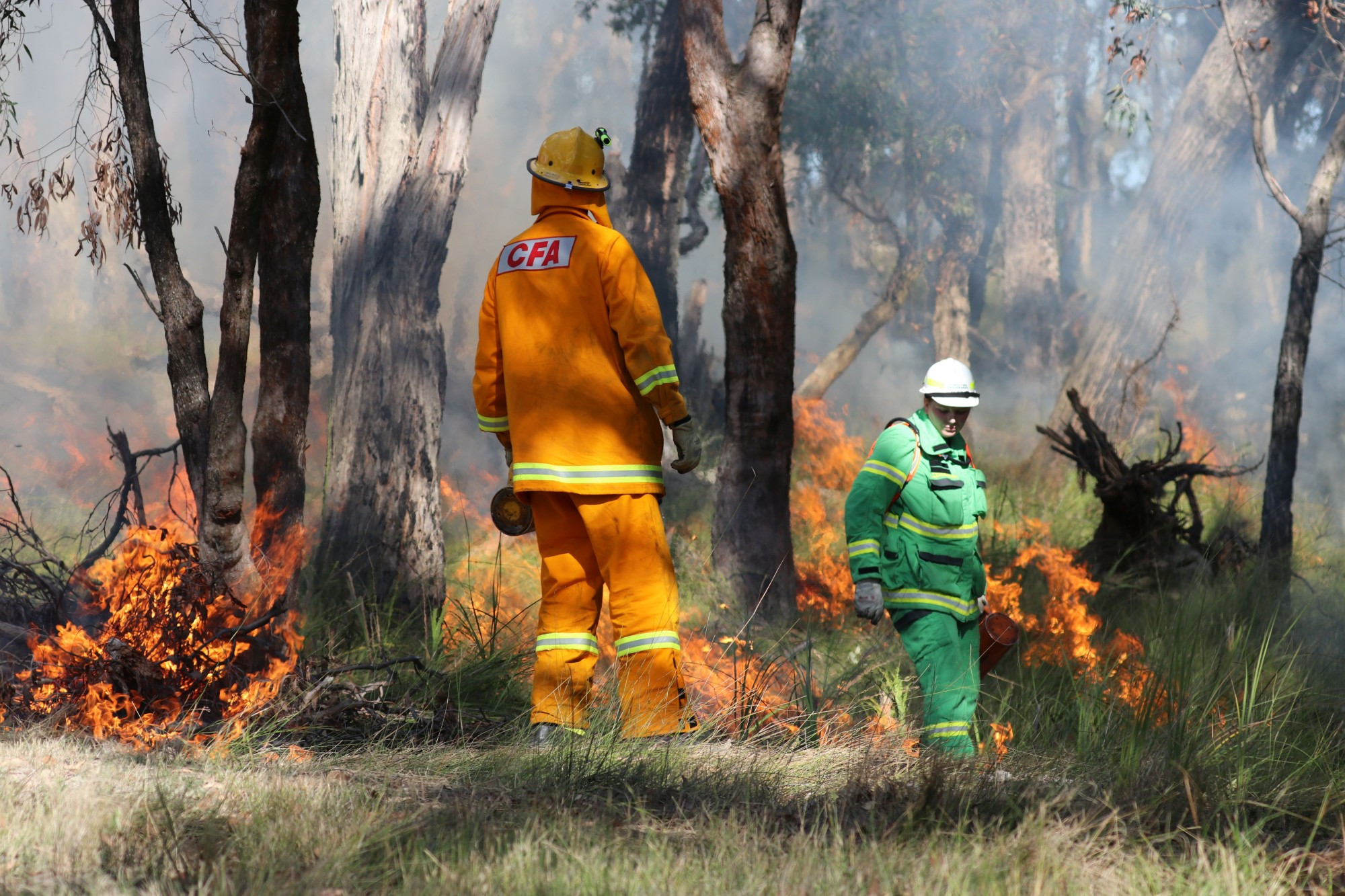 With ideal weather conditions, authorities are planning a number of burns throughout the state.