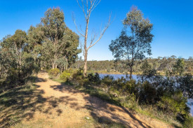 Exploring the surrounding bush