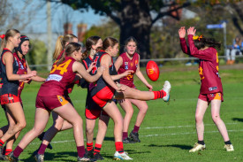 Georgina Bates kicks one out of the pack. 