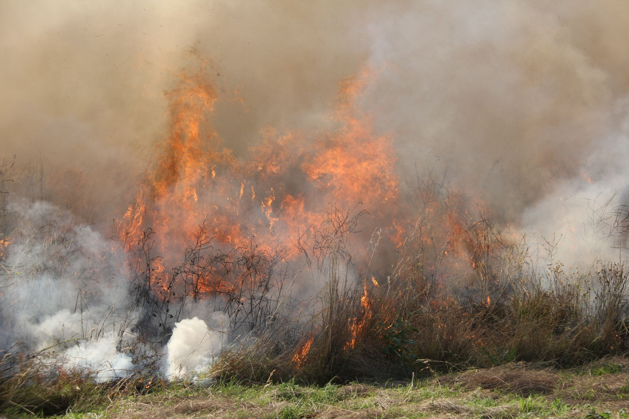 CFA is urging residents to be mindful when burning off.