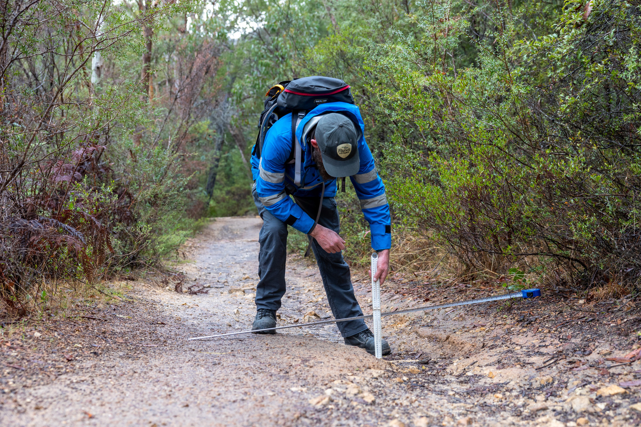 Park rangers wanted - feature photo