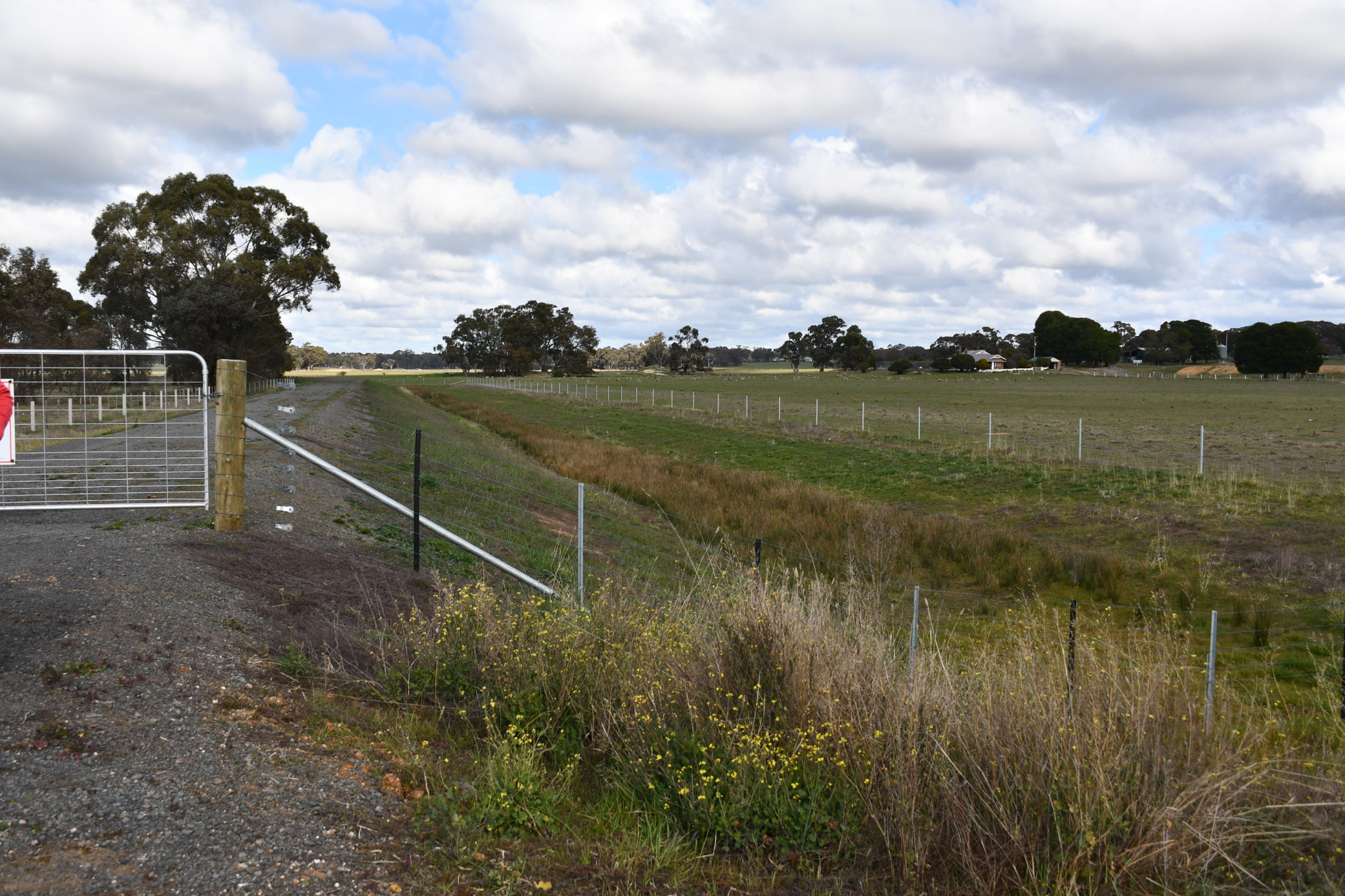 The independent review found sections of the levee require modifications to mitigate flood risks in Carisbrook.