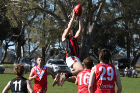 Darcy Kelly takes a good overhead mark for Maldon.