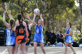 Tayla Gale shoots for goal for Newstead.